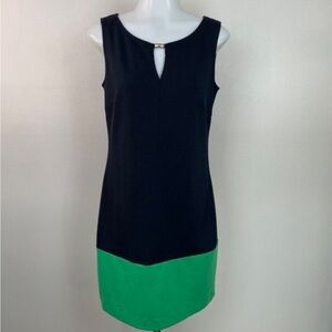 Banana Republic Sheath Dress